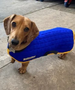 Thermatex Dachshund Dog Coat