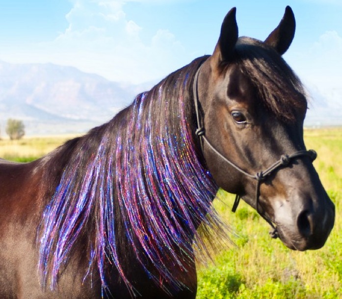 Suga Mane and Tail Extensions - Bling up your Pony