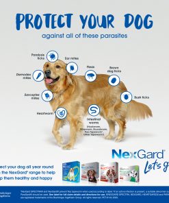 Flea and Worming