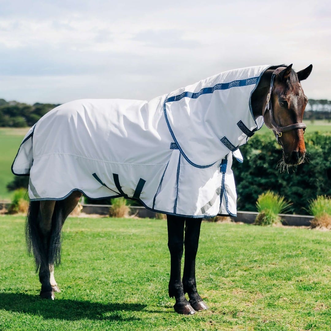 hero-img - Horse and Hound